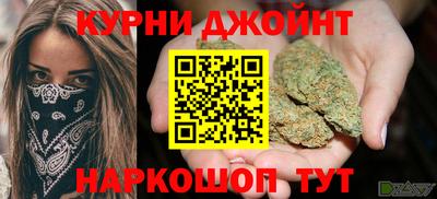 индика Гусь-Хрустальный