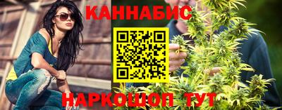 индика Гусь-Хрустальный