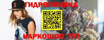 индика Гусь-Хрустальный