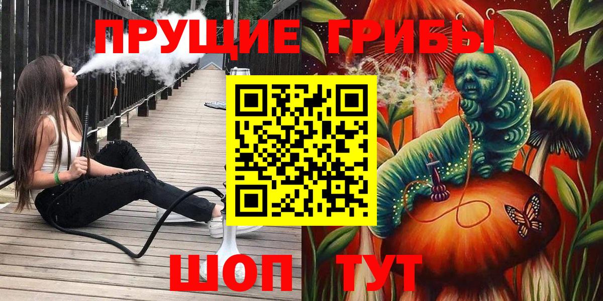 Псилоцибиновые грибы Psilocybine cubensis Мурманск