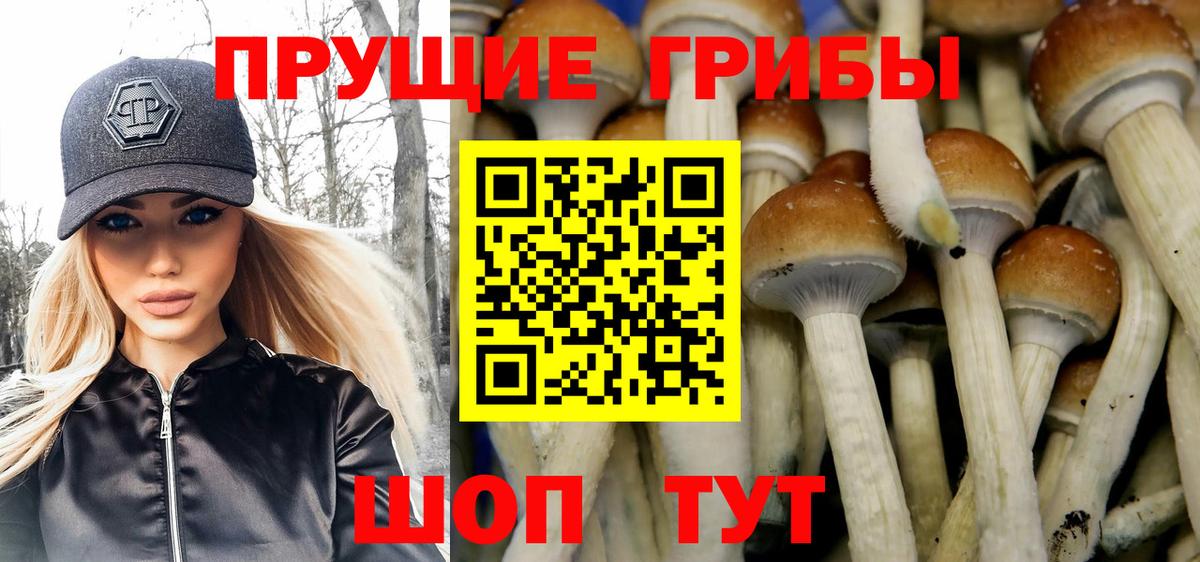 Галлюциногенные грибы Magic Shrooms  Вход с VPN  Мурманск  Галлюциногенные грибы ЛСД 
